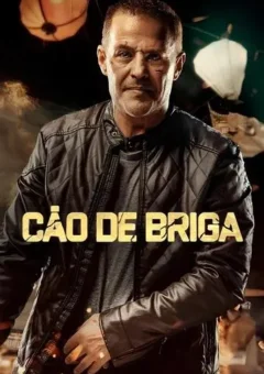 Cão de Briga